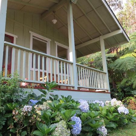 Carson'S Kaloko Mountain Cabin 凯路亚-科纳 外观 照片