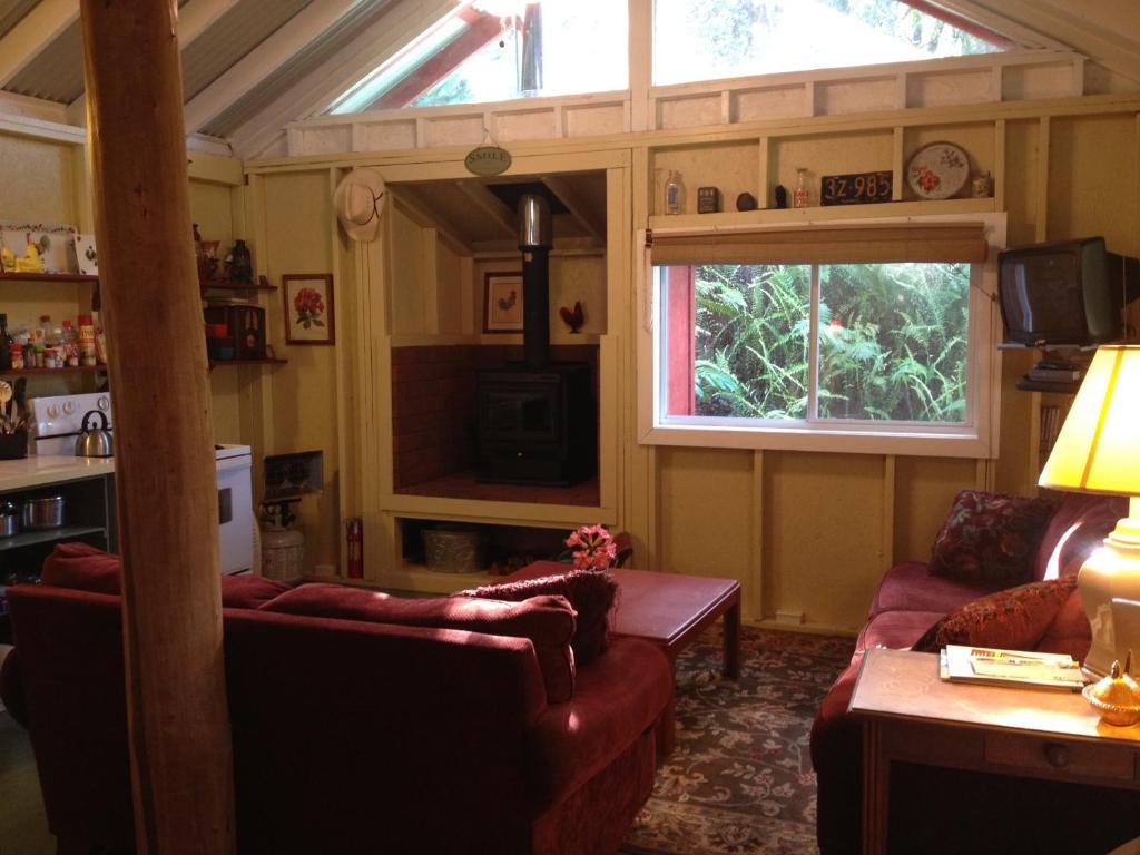 Carson'S Kaloko Mountain Cabin 凯路亚-科纳 客房 照片