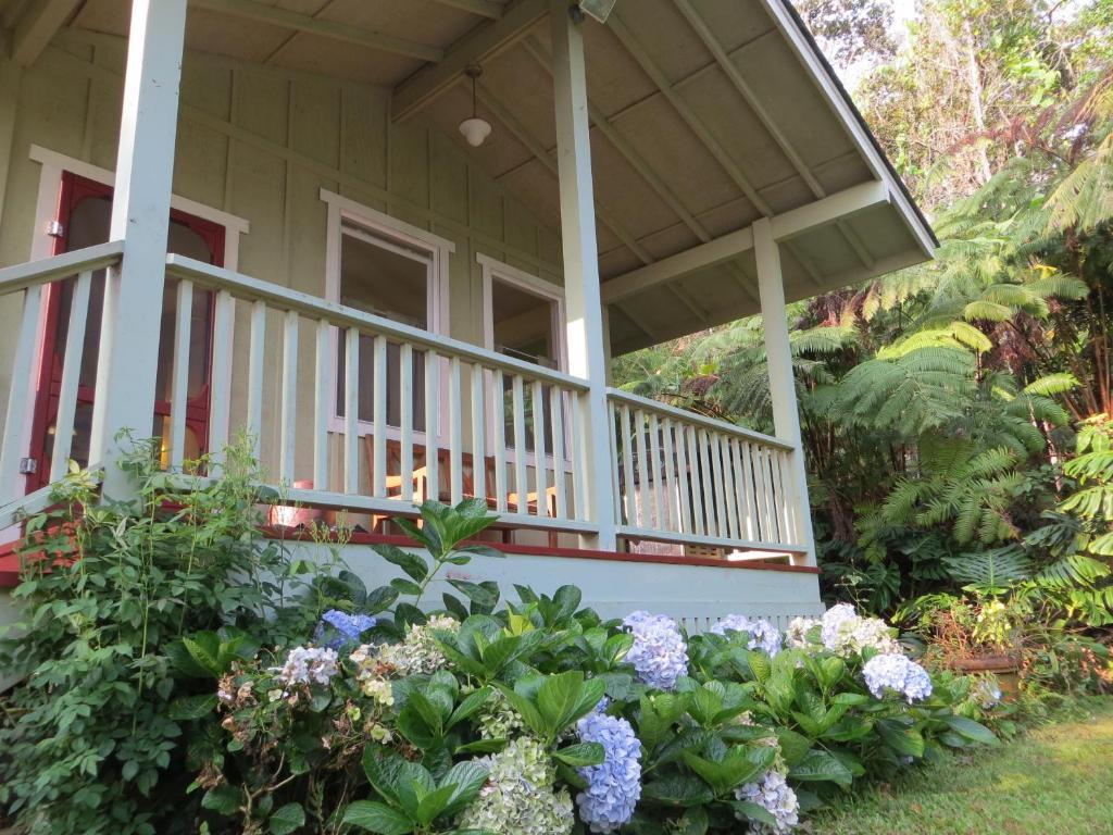 Carson'S Kaloko Mountain Cabin 凯路亚-科纳 外观 照片